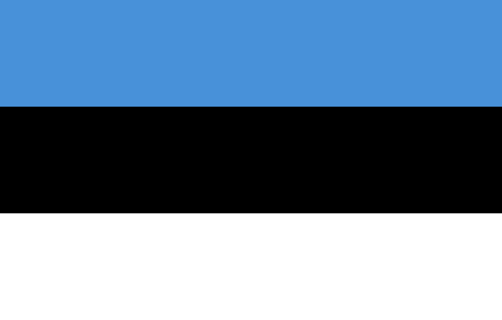 THE ART MUSEUM ESTONIA