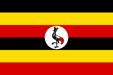 ENGINEER FRANK SENGOZI & IRENE SENGOZI